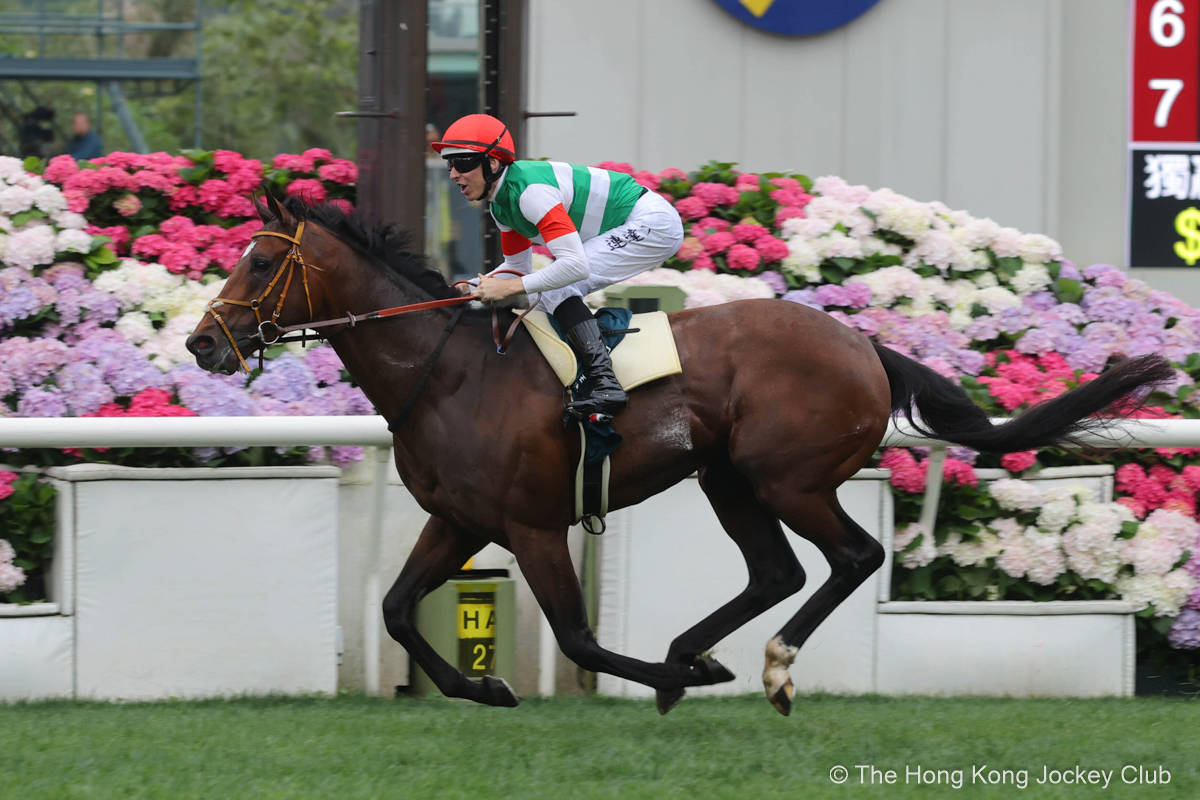 香港ヴァーズ勝ち馬の父サトノクラウンに続き、香港で海外G1初制覇を成し遂げたタスティエーラ