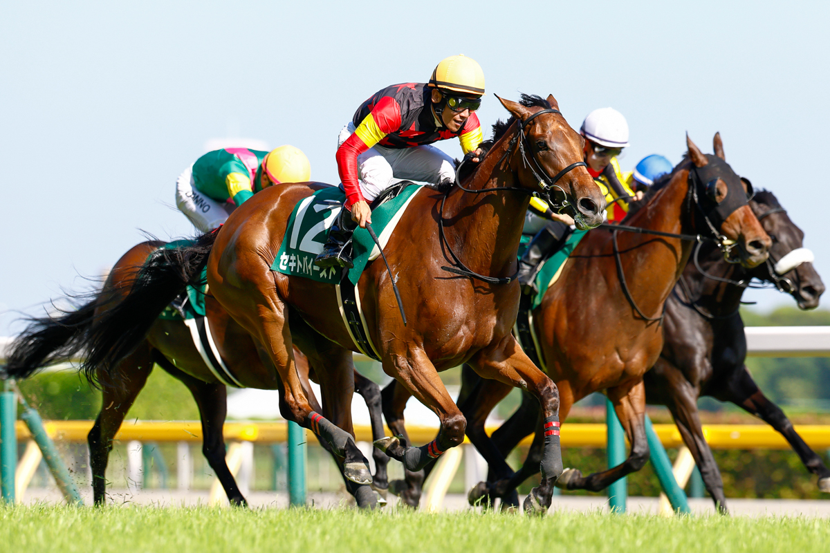 チューリップ賞2着、ローズS3着のセキトバイーストが7回目の挑戦で重賞初制覇