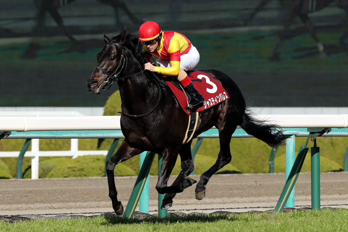 ４歳を迎え心身ともに充実。ジャスティンパレスが１馬身3/4差で快勝(第