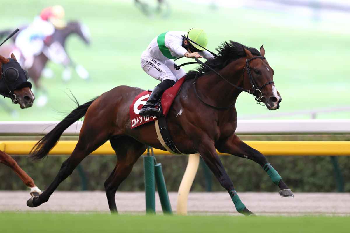 着実に力を付けてきたエルトンバローズ。未勝利、１勝クラス、ラジオNIKKEI賞に続き連勝を「４」に伸ばした