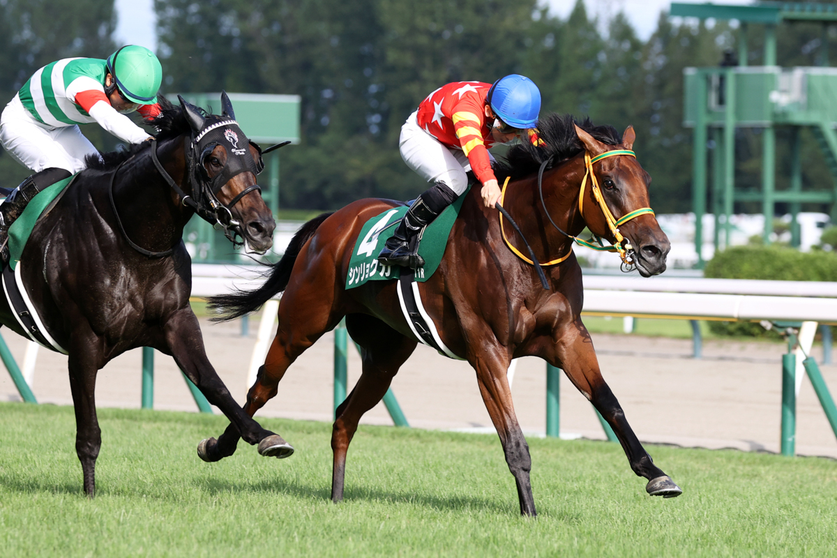 シンリョクカが２番手から早めに抜け出し、馬群を縫って迫るセレシオンをハナ差抑えた