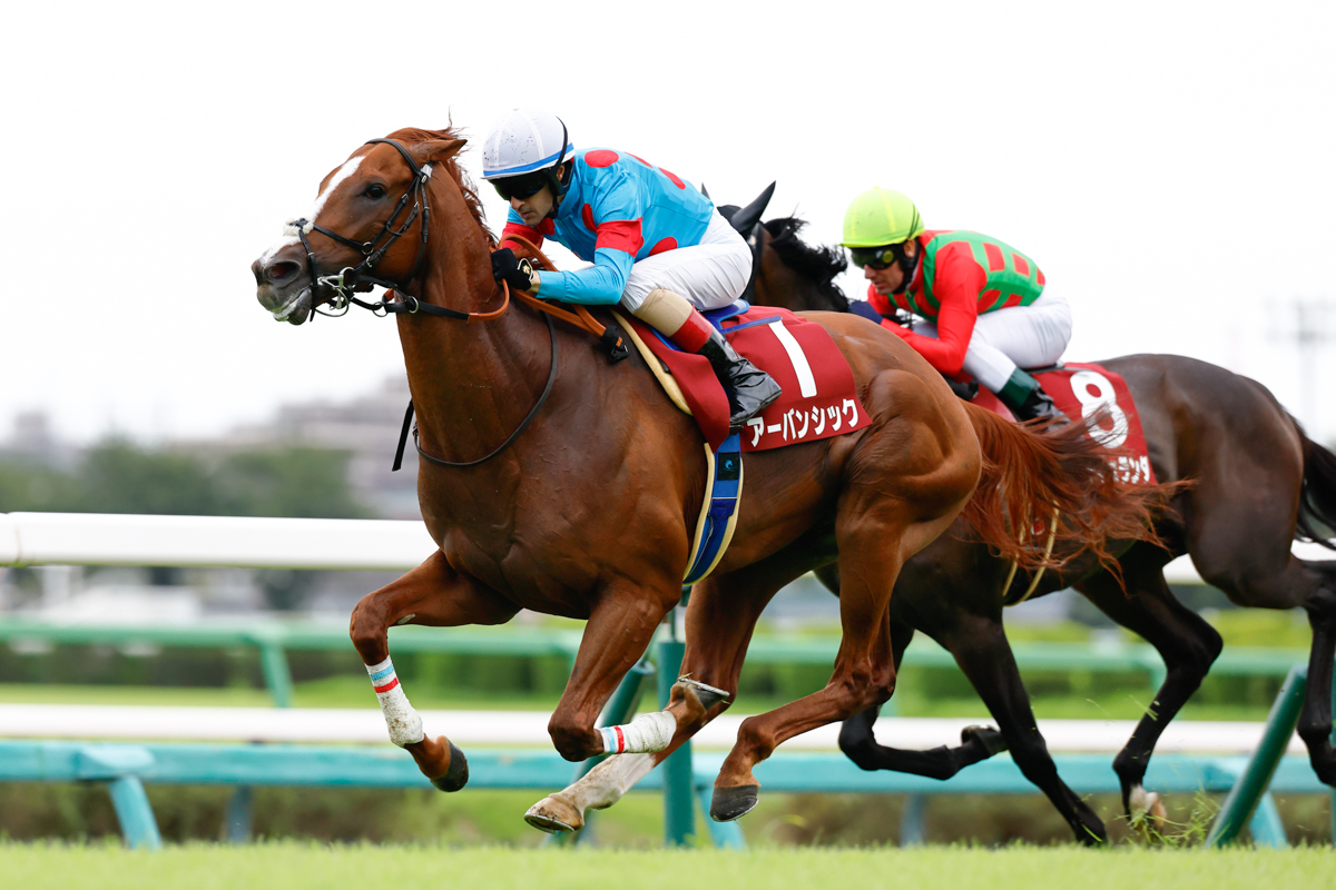 日本ダービー11着以来４カ月ぶりの実戦だったが、皐月賞２着馬コスモキュランダを並ぶ間もなく差し切った