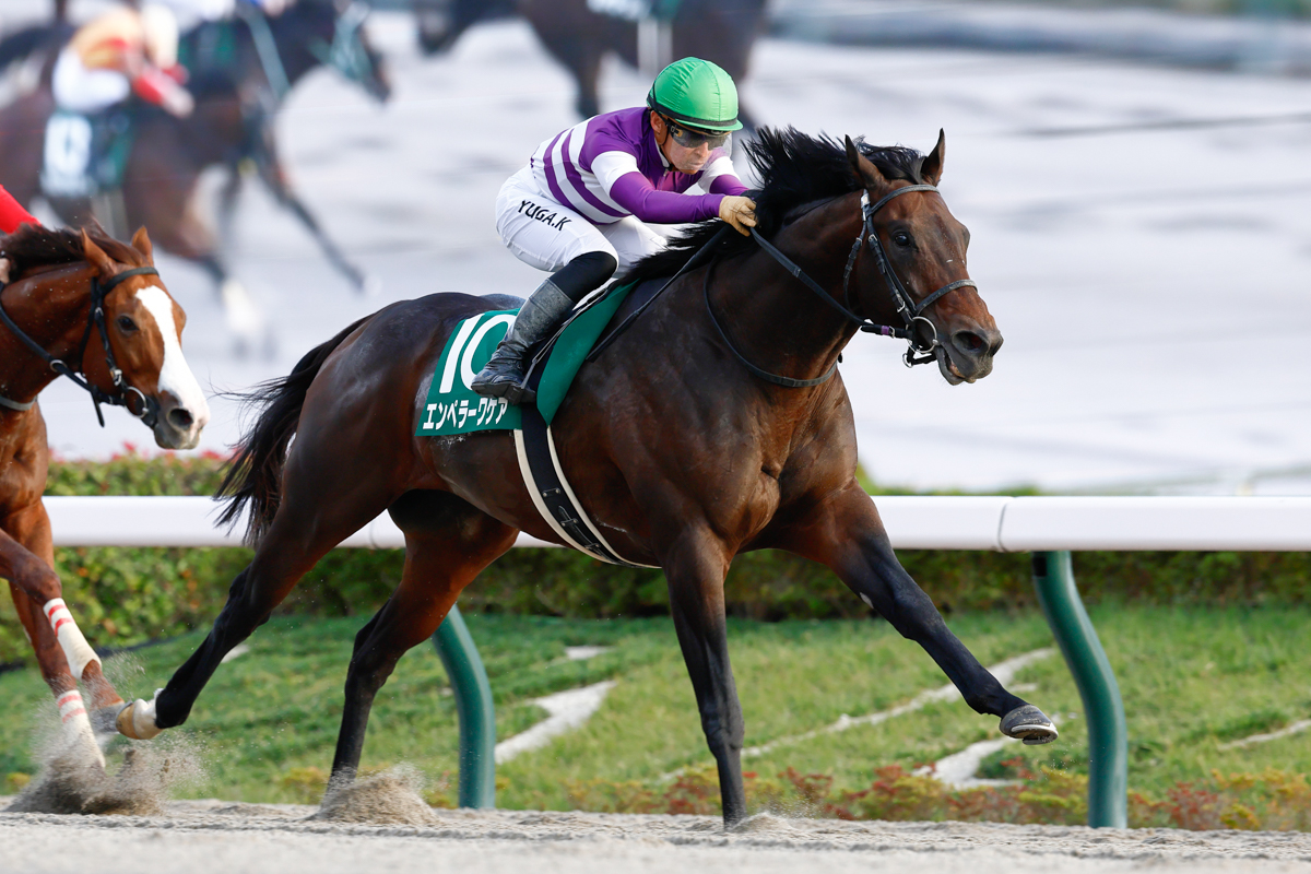 ダートの通算成績は９戦７勝２着２回。フェブラリーＳの最有力候補の１頭に躍り出た