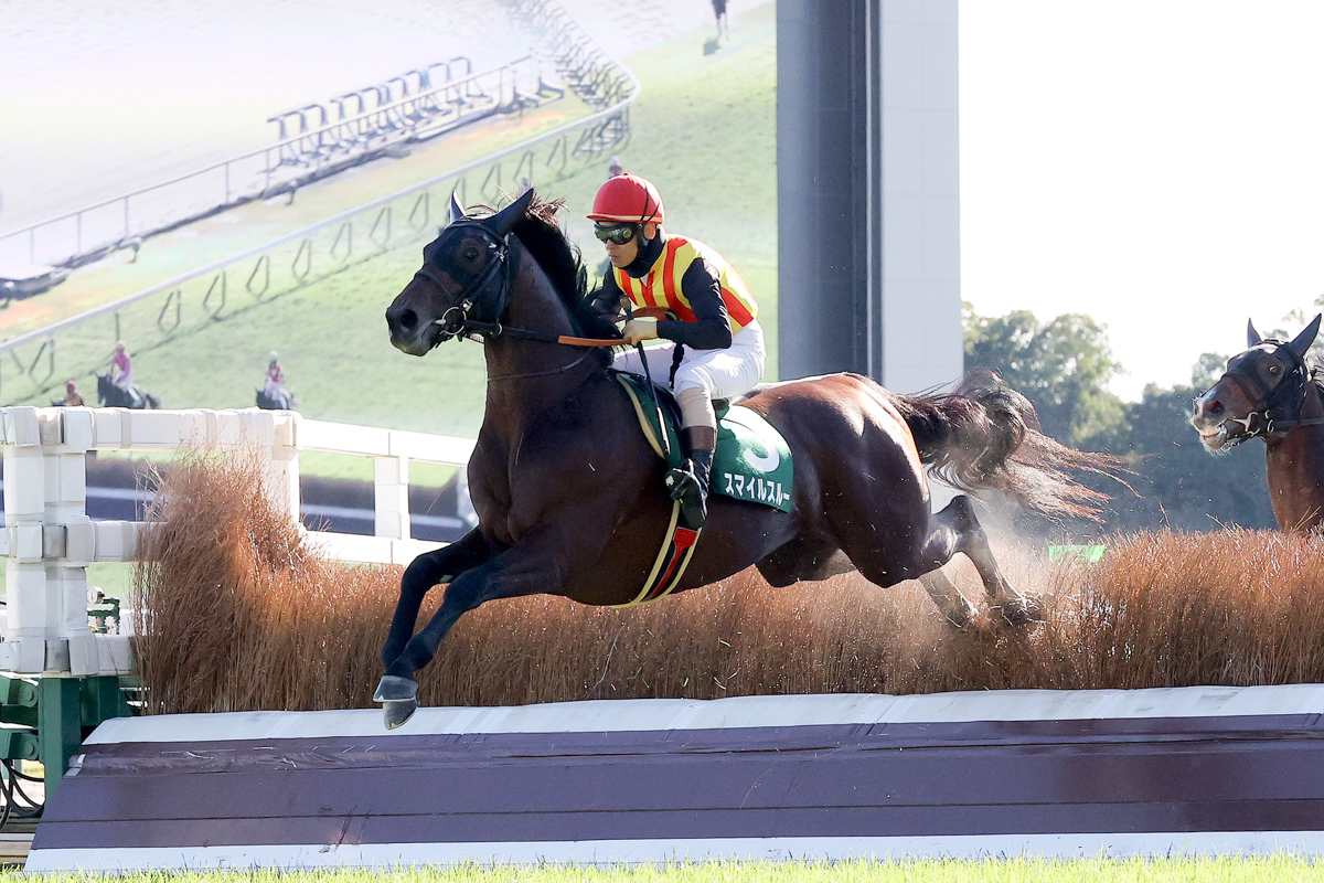 最終障害を越えて後続を８馬身引き離したスマイルスルー。障害界の主役候補が誕生した