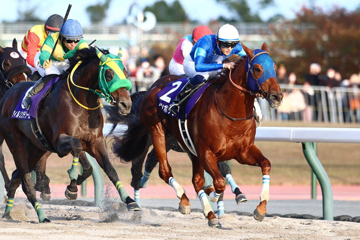 レモンポップが前年同様先手を奪い、前年２着馬ウィルソンテソーロの猛追をハナ差退けた