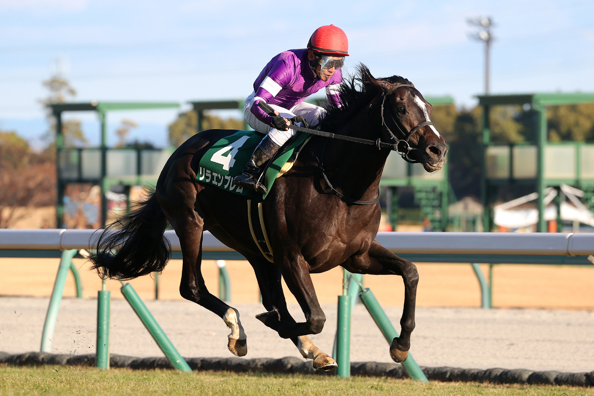 父はキズナ、母デルフィニアⅡは英仏のＧ１・２着、祖母アゲインは愛1000ギニー馬。クラシックが非常に楽しみだ