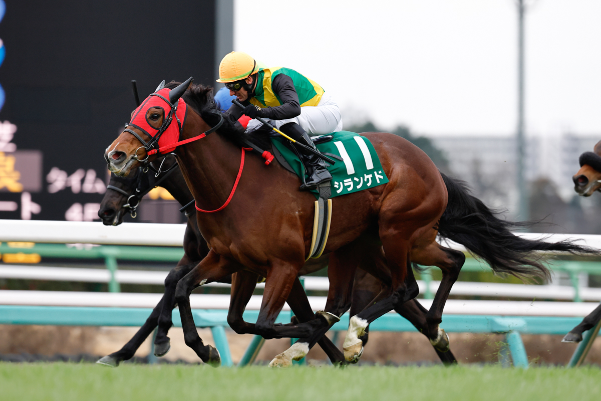 新馬戦以外はすべて３着以内。紫苑Ｓ３着馬シランケドが重賞ウイナーの仲間入りを果たした