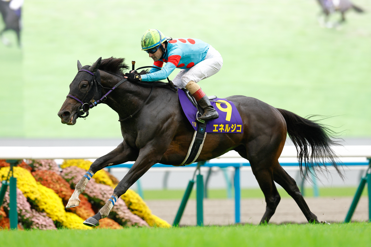 雨で湿った馬場を力強く抜け出したエネルジコ。2着エリキングに2馬身差を付け快勝した