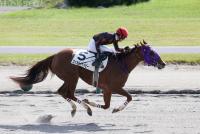 ロッカバイベイビー