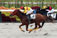 コパノニコルソン