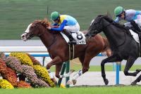 フロムレイブン