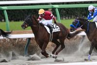 ミライヘノカギ