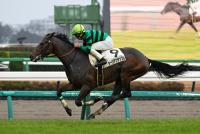 ラージアンサンブル