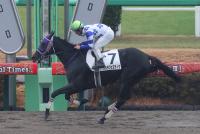 ダカラフェスティヴ