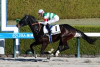 スカイストライプス