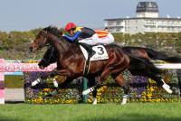 ページターナー