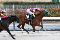 アラレタバシル