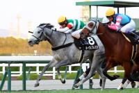 ネーヴェフレスカ