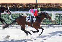 ペイシャケイプ