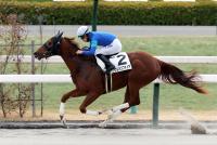 ソウルオンファイア