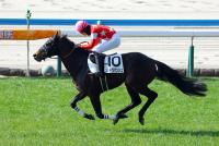 レッドラマンシュ