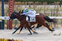 ティエラレイナ