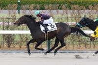 レイワサンサン