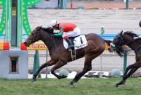 シェーロドラート