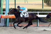 ミラクルキャッツ