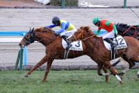 エアビッグマム