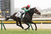 ベルウッドクレド