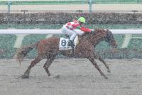 マジッククッキー