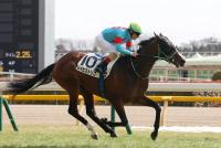 レイヒストリコ