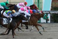 キタノライブリー