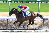 イナズマダイモン