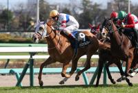 テンミラクルスター