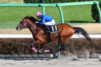 ロングウェイホーム