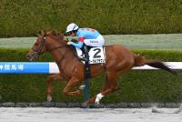 コーラルクラウン