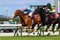 <strong>ディナースタ</strong>