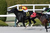 ジャスティンアース