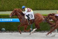 セイウンバジリスク