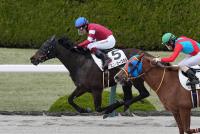 スニーカースキル