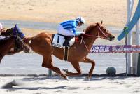 オリーブグリーン