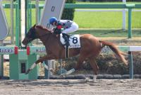 クイーンズホリデー