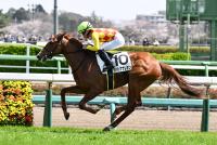 ナハトナナレオン