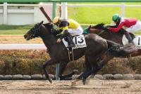 ミリオンヴォイス