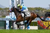 ラヴリーティアラ