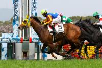 サイモンシャリオ