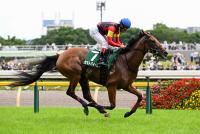 <strong>セキトバイースト</strong>