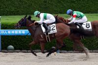 マリリンバローズ